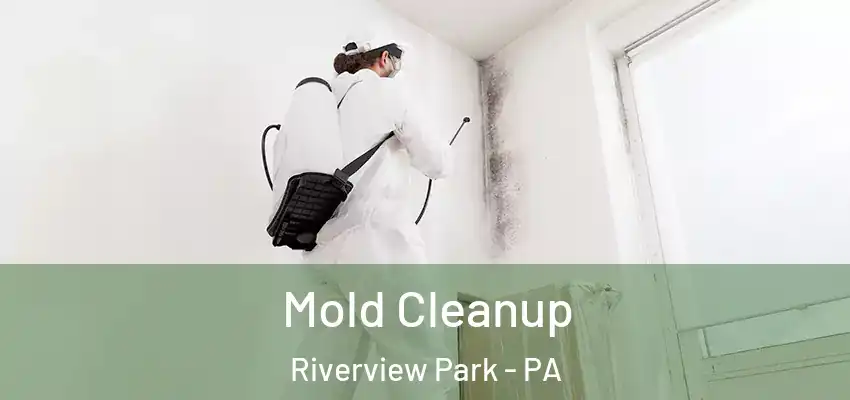Mold Cleanup Riverview Park - PA
