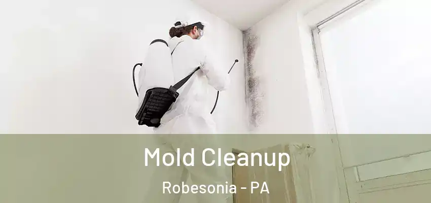 Mold Cleanup Robesonia - PA