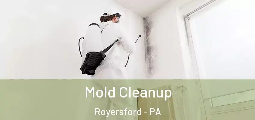 Mold Cleanup Royersford - PA