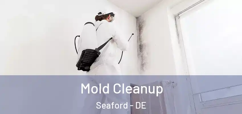  Mold Cleanup Seaford - DE