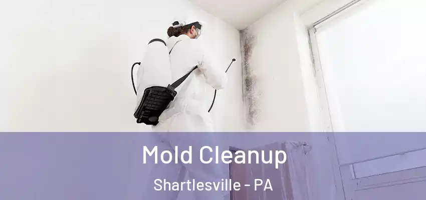  Mold Cleanup Shartlesville - PA