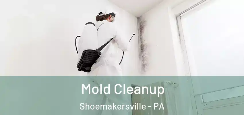  Mold Cleanup Shoemakersville - PA