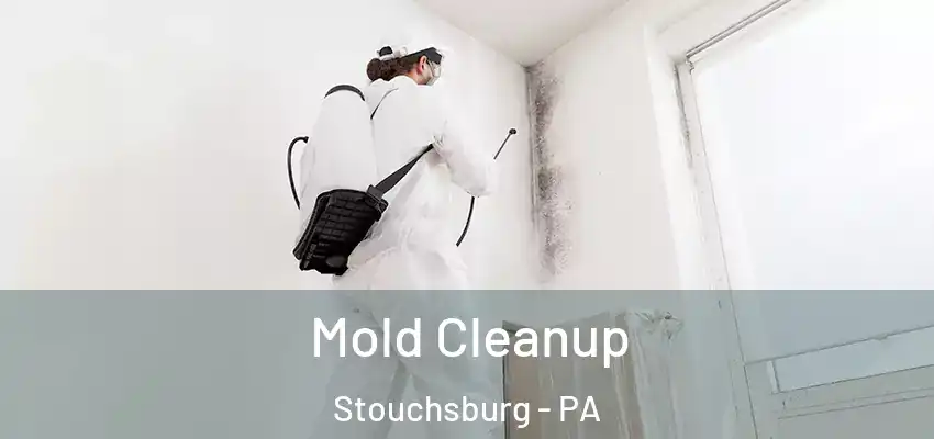Mold Cleanup Stouchsburg - PA