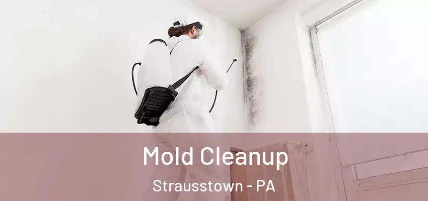 Mold Cleanup Strausstown - PA