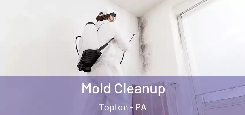 Mold Cleanup Topton - PA