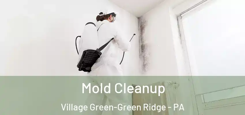 Mold Cleanup Village Green-Green Ridge - PA