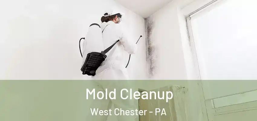 Mold Cleanup West Chester - PA
