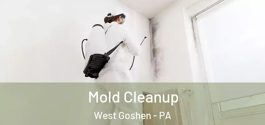 Mold Cleanup West Goshen - PA