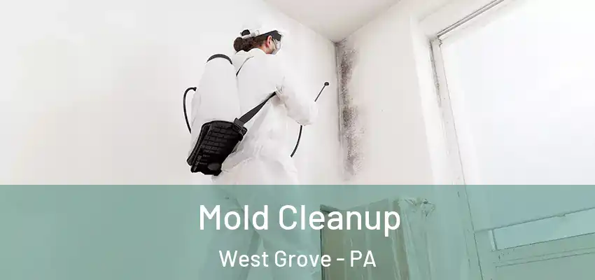 Mold Cleanup West Grove - PA