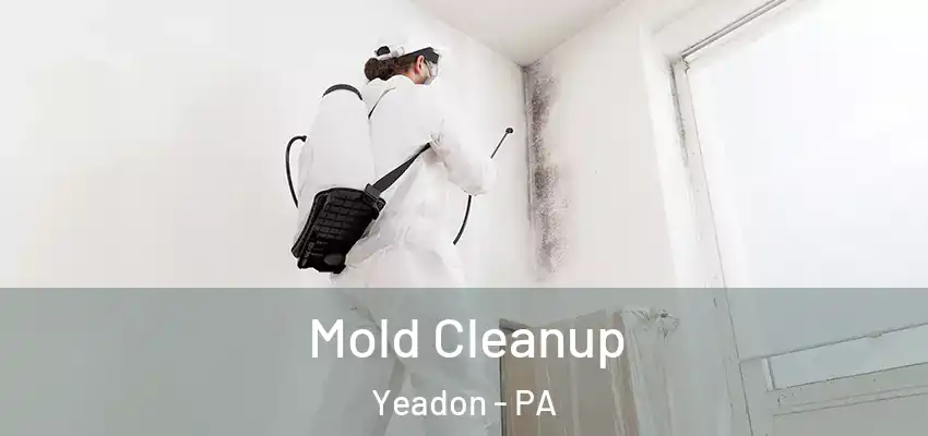 Mold Cleanup Yeadon - PA