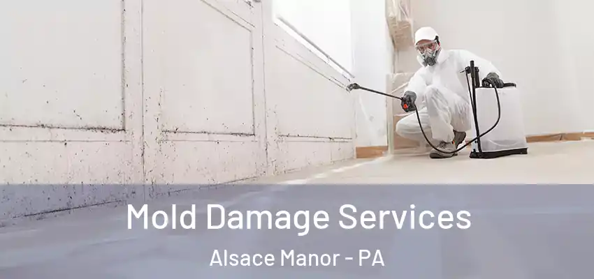 Mold Damage Services Alsace Manor - PA