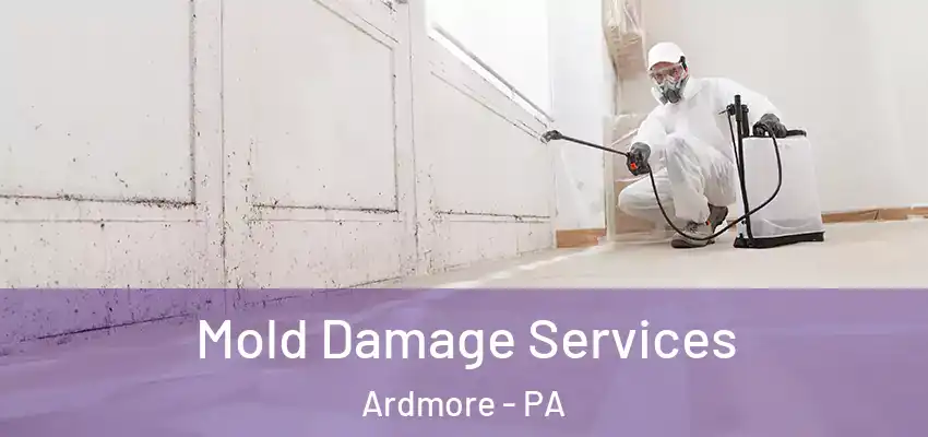  Mold Damage Services Ardmore - PA