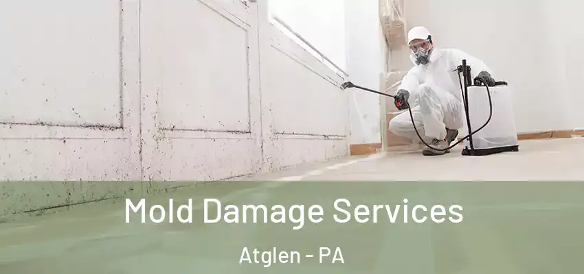  Mold Damage Services Atglen - PA