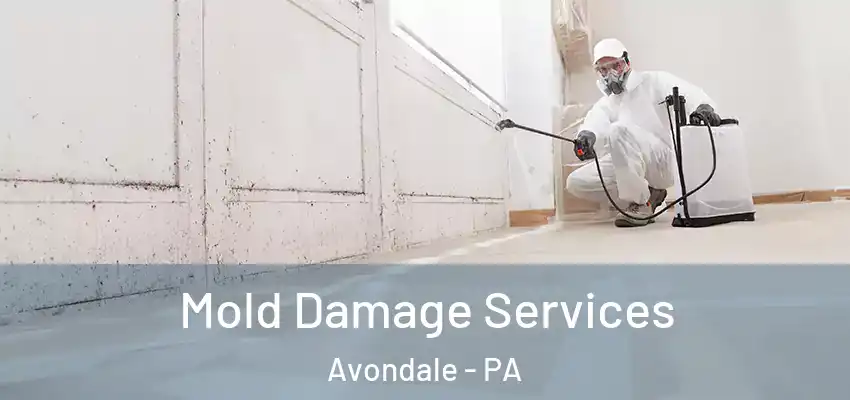  Mold Damage Services Avondale - PA
