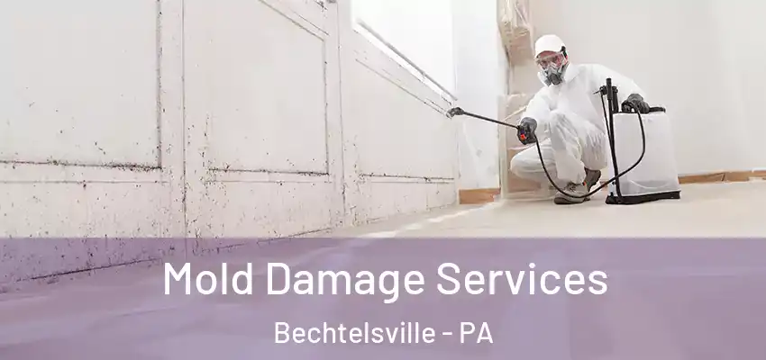 Mold Damage Services Bechtelsville - PA