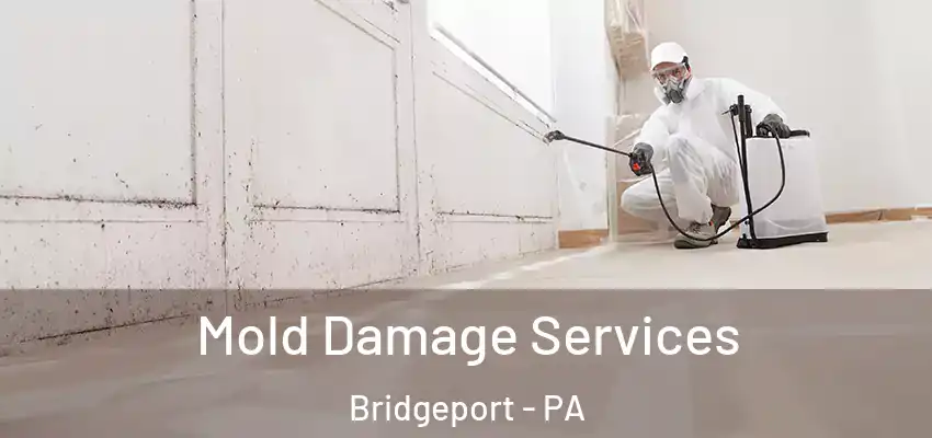 Mold Damage Services Bridgeport - PA