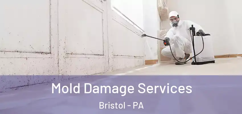 Mold Damage Services Bristol - PA