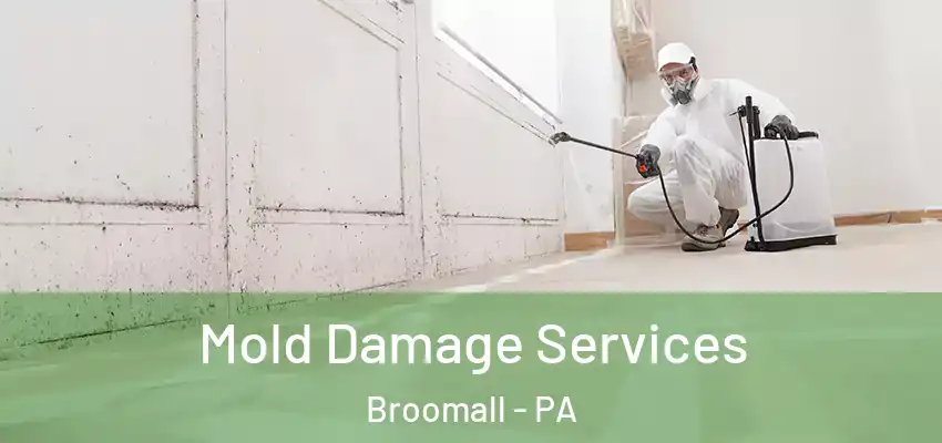  Mold Damage Services Broomall - PA