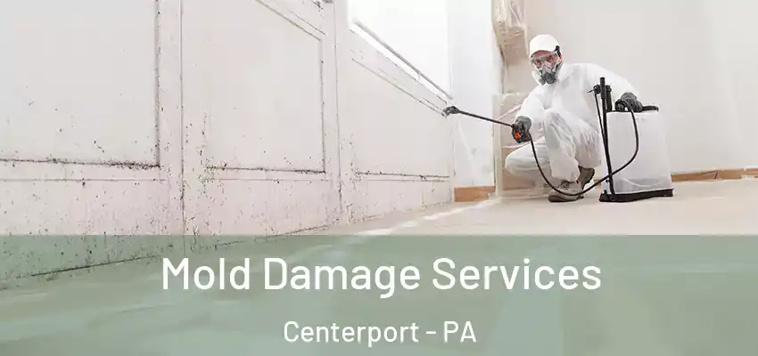 Mold Damage Services Centerport - PA