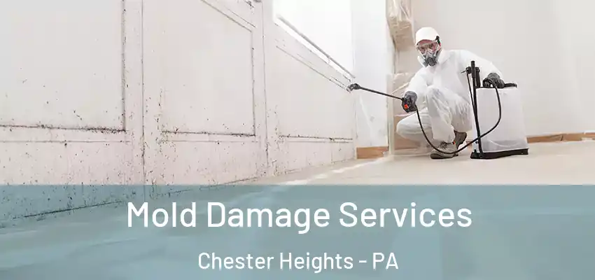  Mold Damage Services Chester Heights - PA