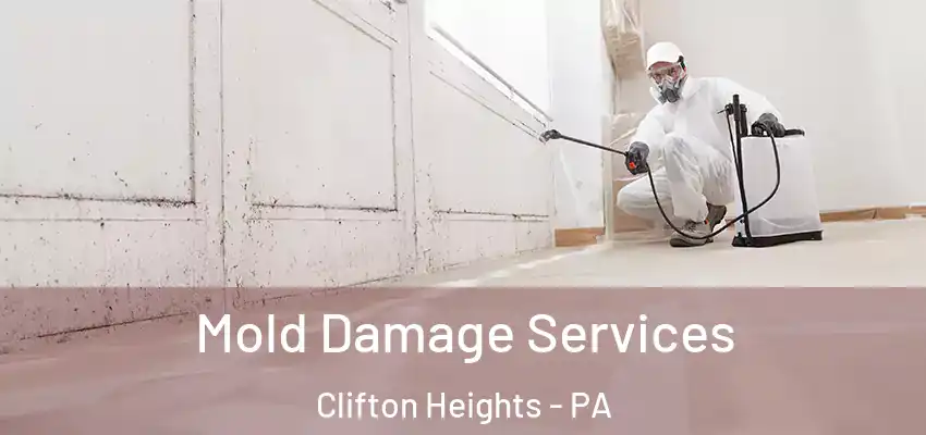  Mold Damage Services Clifton Heights - PA