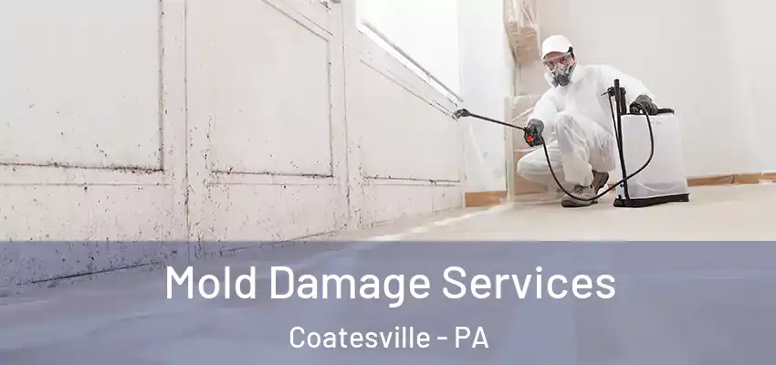 Mold Damage Services Coatesville - PA