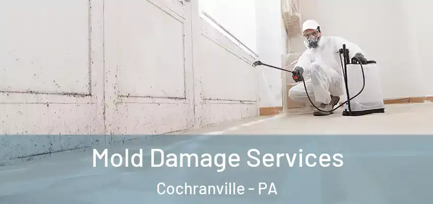 Mold Damage Services Cochranville - PA