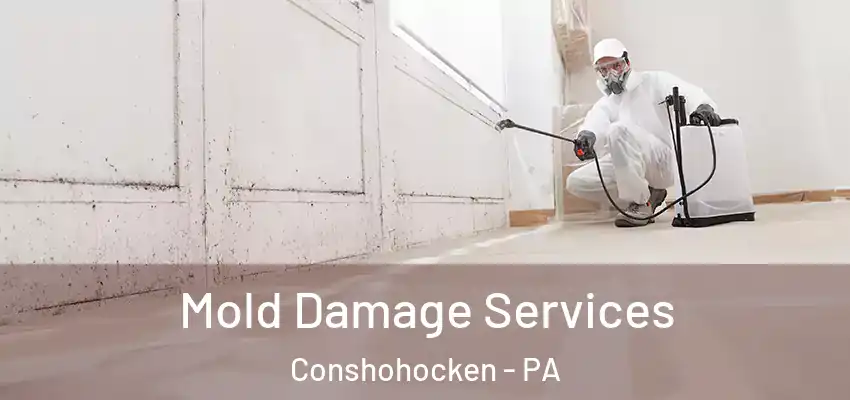 Mold Damage Services Conshohocken - PA
