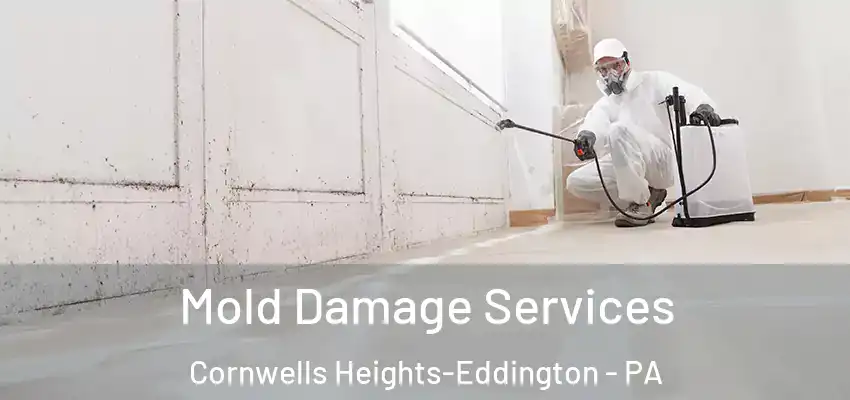  Mold Damage Services Cornwells Heights-Eddington - PA