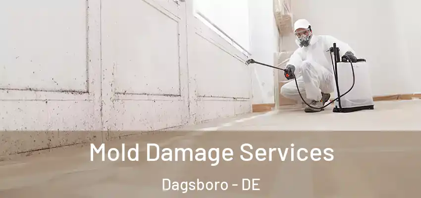 Mold Damage Services Dagsboro - DE