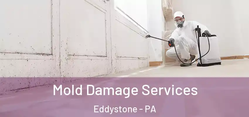 Mold Damage Services Eddystone - PA