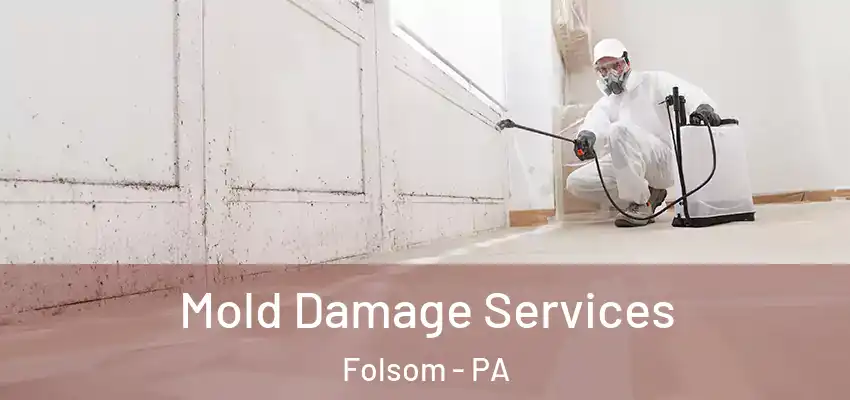  Mold Damage Services Folsom - PA