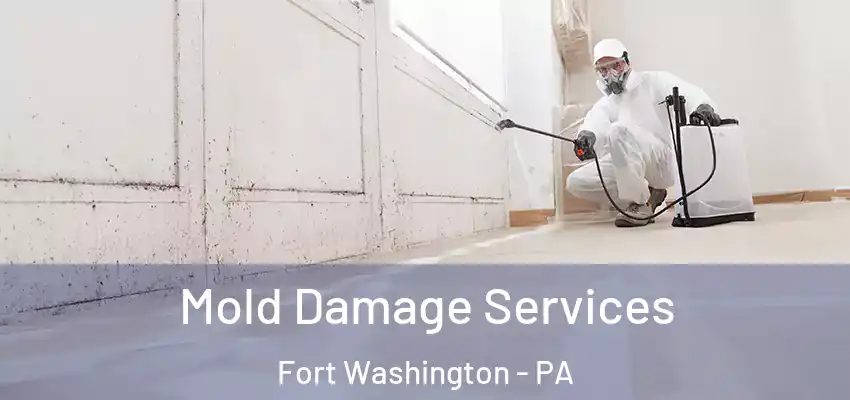  Mold Damage Services Fort Washington - PA