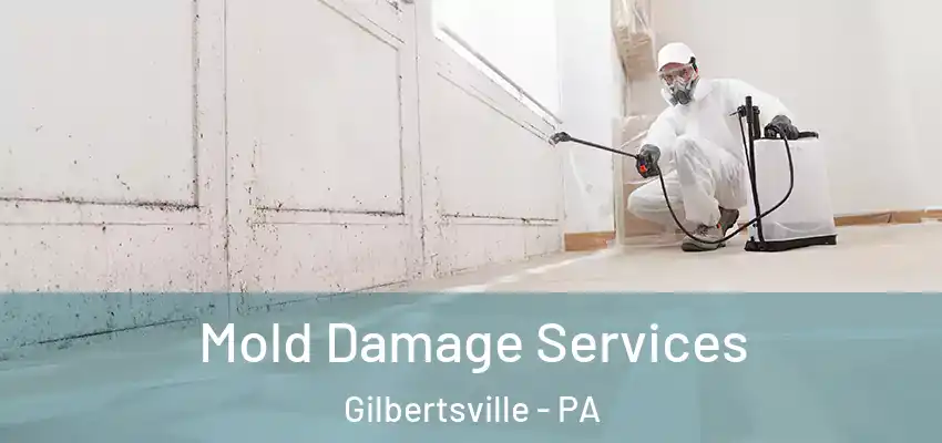Mold Damage Services Gilbertsville - PA