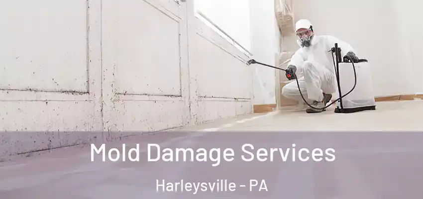  Mold Damage Services Harleysville - PA