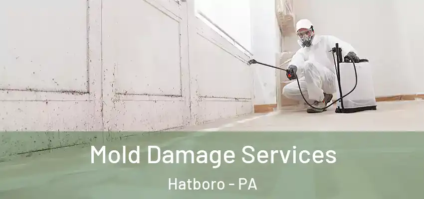  Mold Damage Services Hatboro - PA