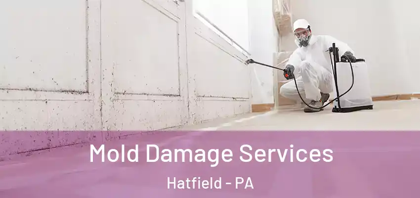 Mold Damage Services Hatfield - PA