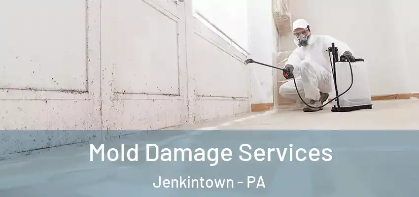  Mold Damage Services Jenkintown - PA