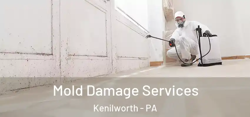  Mold Damage Services Kenilworth - PA