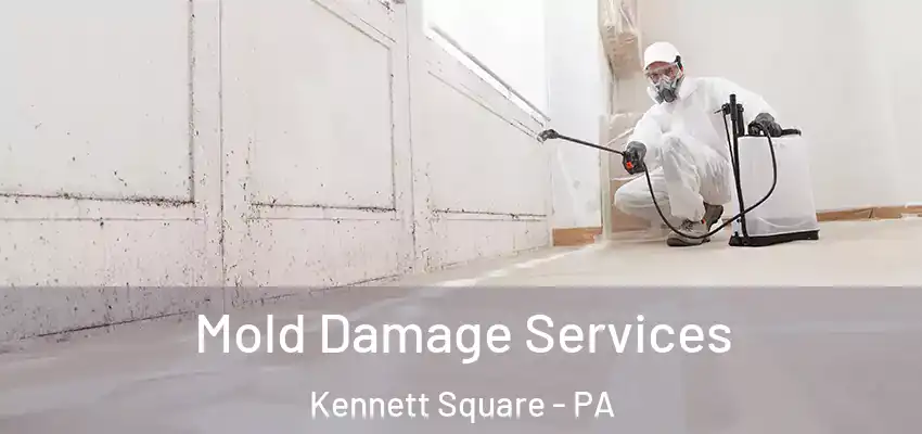 Mold Damage Services Kennett Square - PA