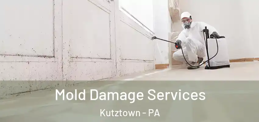  Mold Damage Services Kutztown - PA