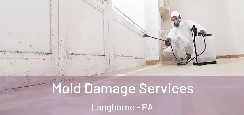  Mold Damage Services Langhorne - PA