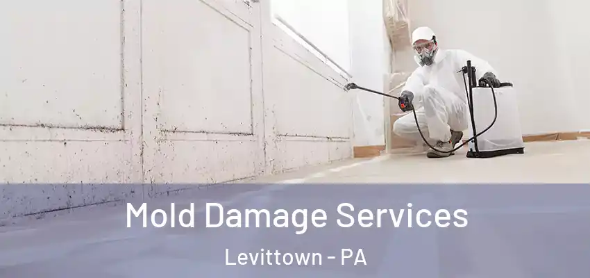  Mold Damage Services Levittown - PA