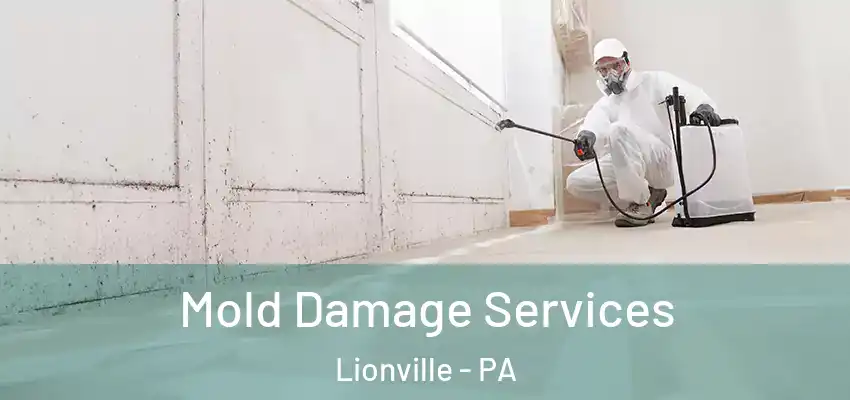 Mold Damage Services Lionville - PA