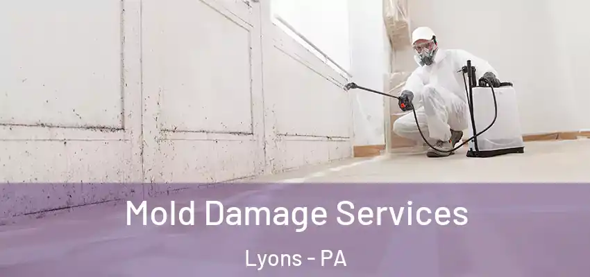 Mold Damage Services Lyons - PA