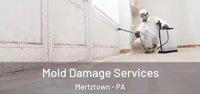  Mold Damage Services Mertztown - PA
