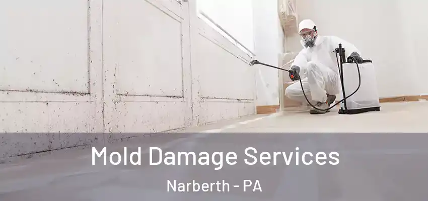 Mold Damage Services Narberth - PA