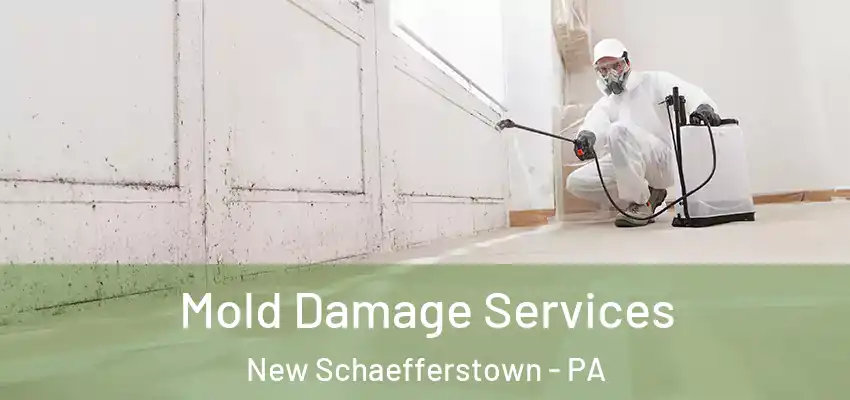 Mold Damage Services New Schaefferstown - PA