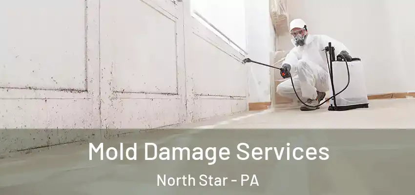 Mold Damage Services North Star - PA