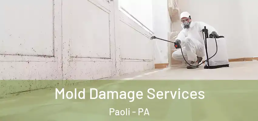 Mold Damage Services Paoli - PA